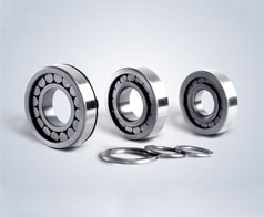 圓(yuán)柱滾子(zi)軸承--鷹(yīng)牌軸承(cheng)