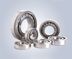 圓(yuán)柱滾子(zi)軸承-鷹(yīng)牌軸承(chéng)