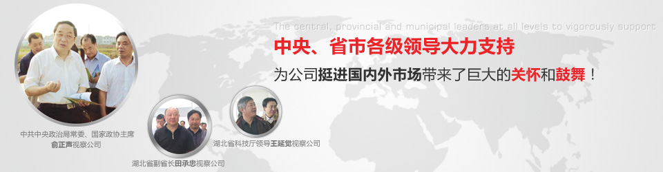 轎(jiào)車輪毂(gū)單元