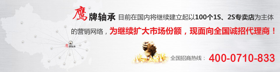 公(gōng)制軸承(chéng)